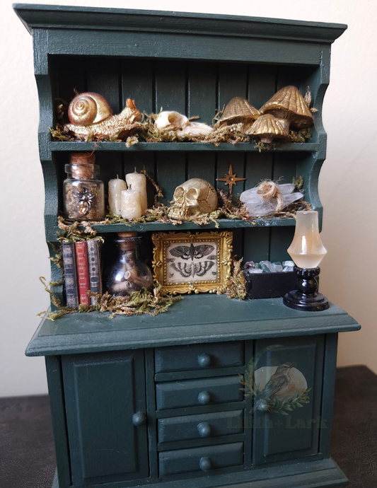 Curiosity Cabinet V1