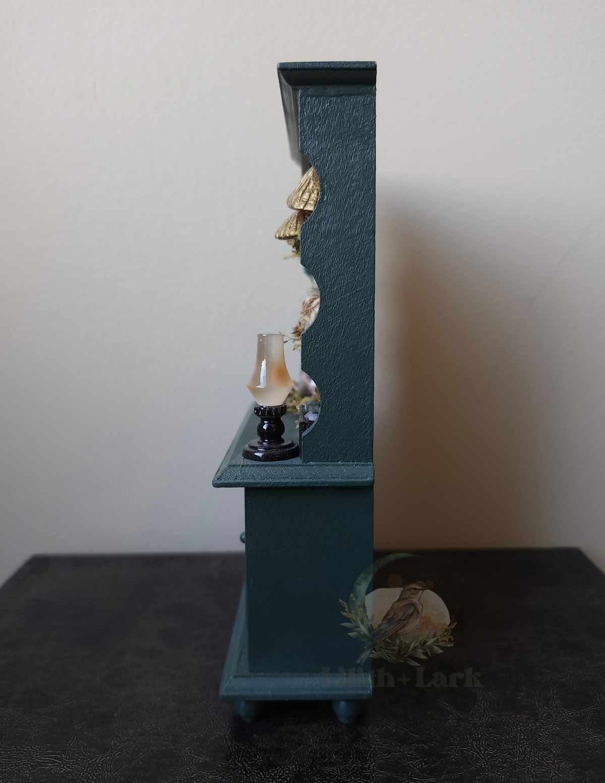 Curiosity Cabinet V1