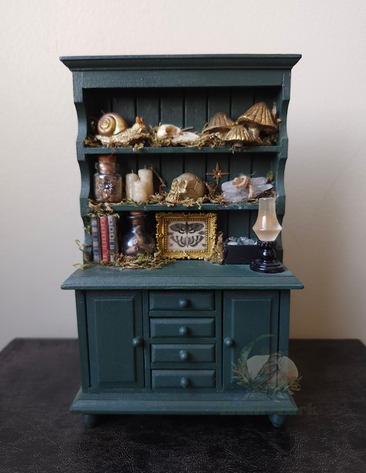 Curiosity Cabinet V1