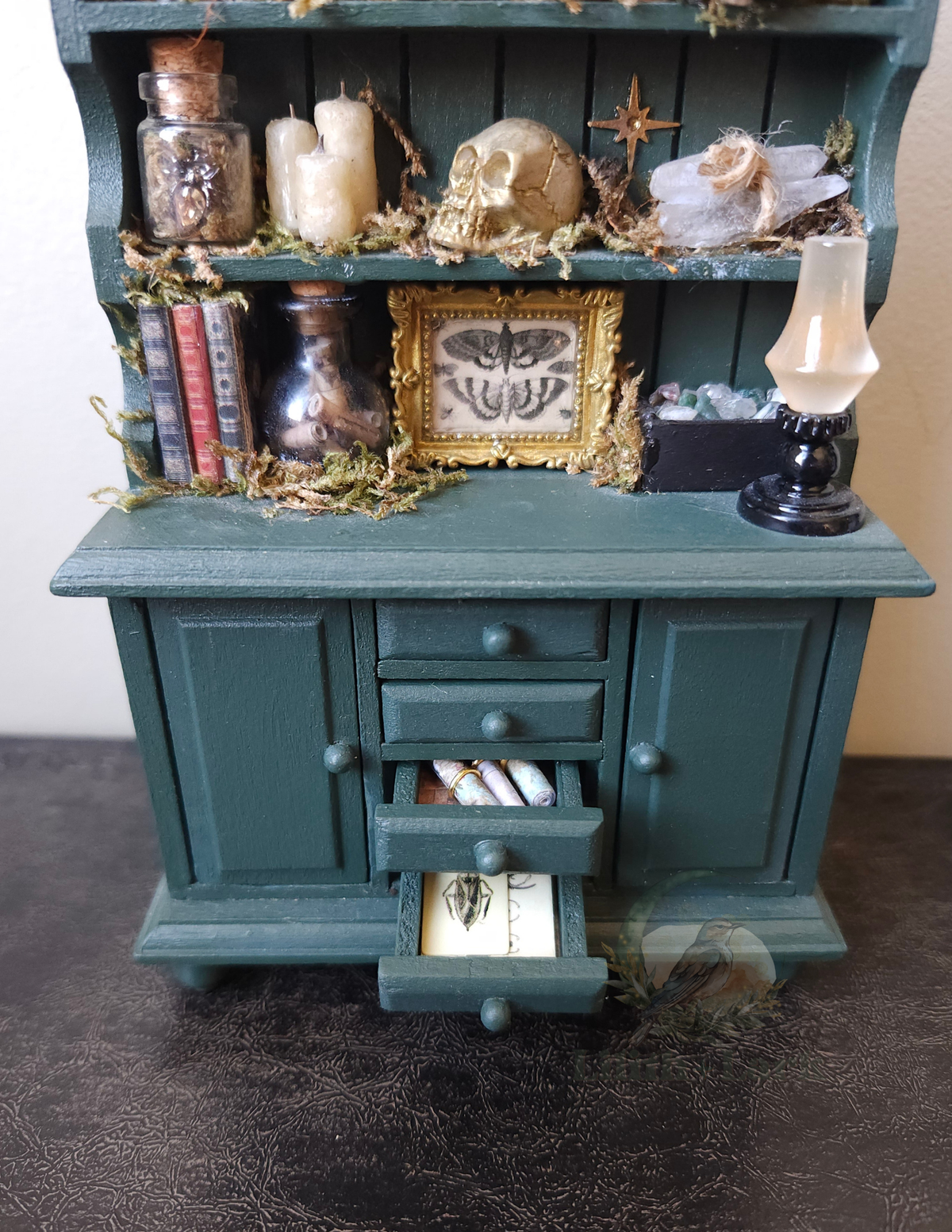 Curiosity Cabinet V1