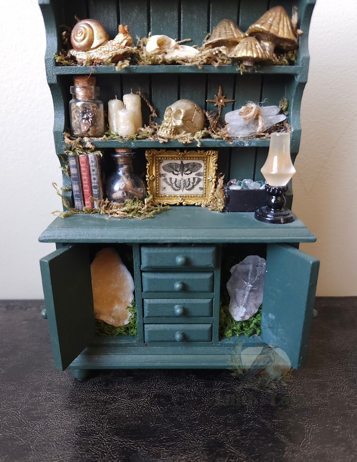 Curiosity Cabinet V1