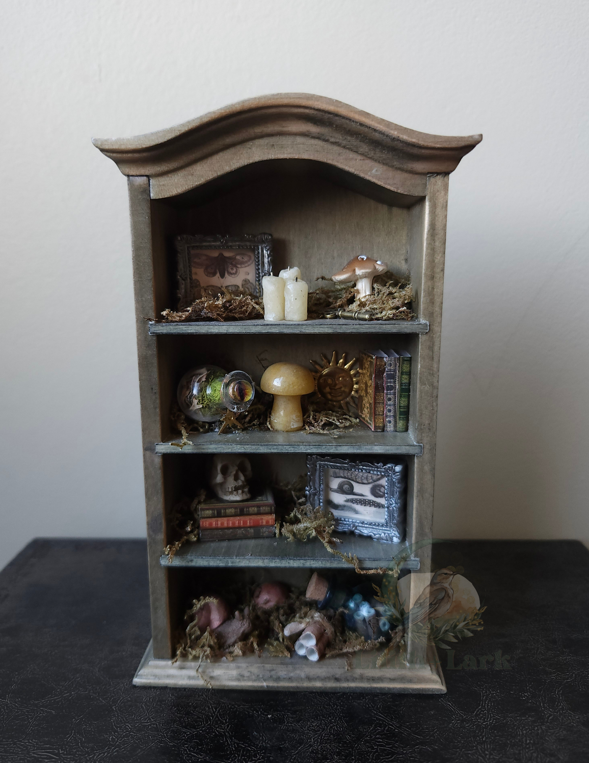 Curiosity Cabinet V2
