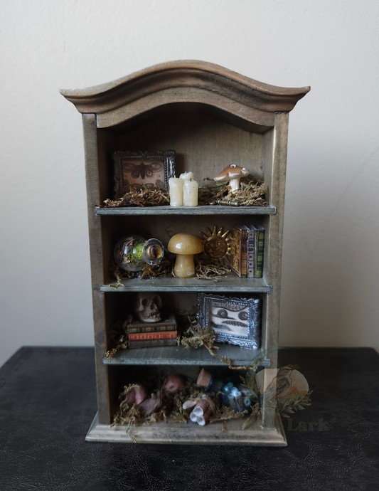 Curiosity Cabinet V2