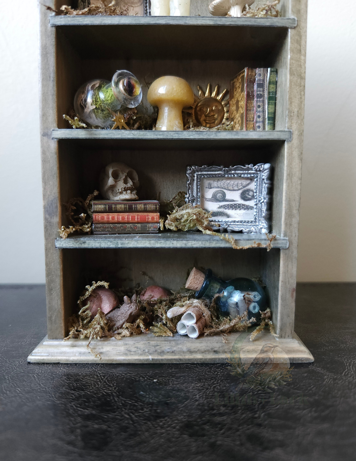 Curiosity Cabinet V2