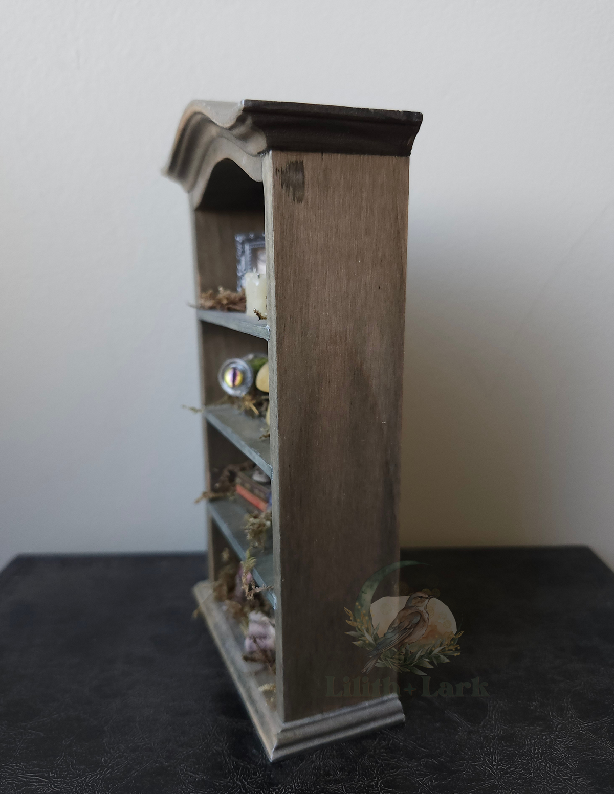 Curiosity Cabinet V2