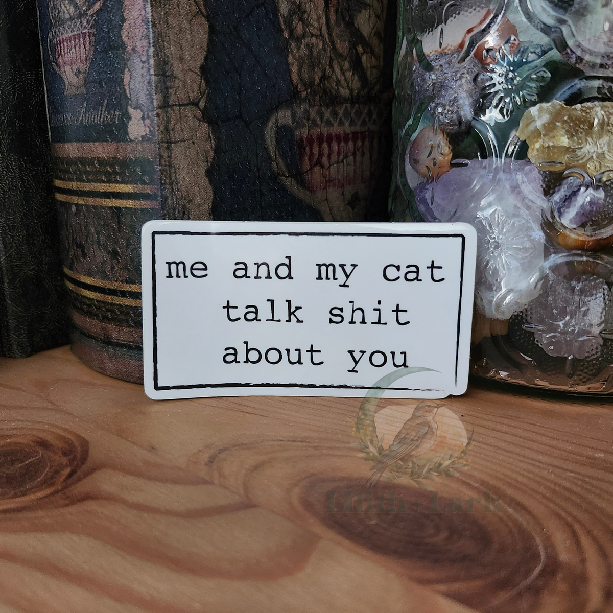 Small rectangular vinyl sticker with text 'me and my cat talk shit about you' on a wooden surface.
