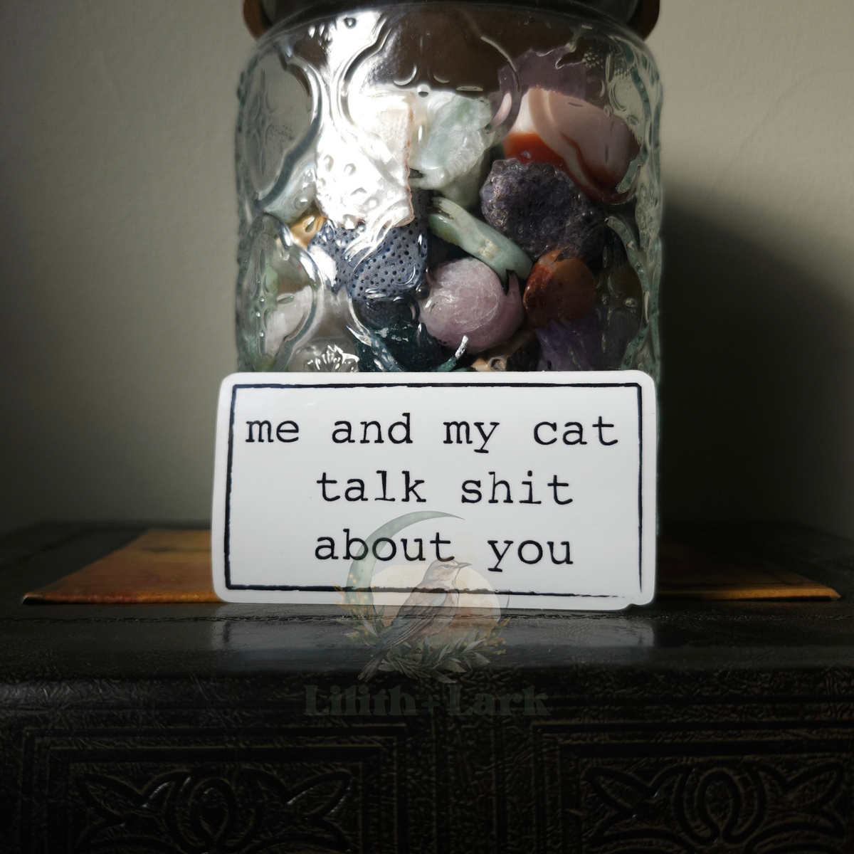 Me And My Cat Talk Shit About You